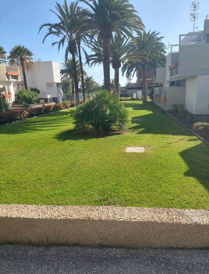 Orita Apartment Las Galletas Bagian luar foto